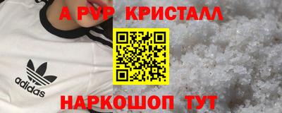 ECSTASY Камышлов