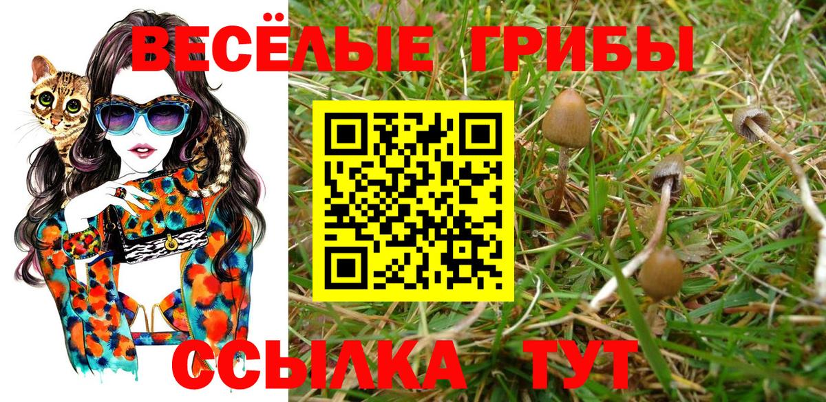 Лосино-Петровский  Псилоцибиновые грибы GOLDEN TEACHER  закладка  Вход с VPN 