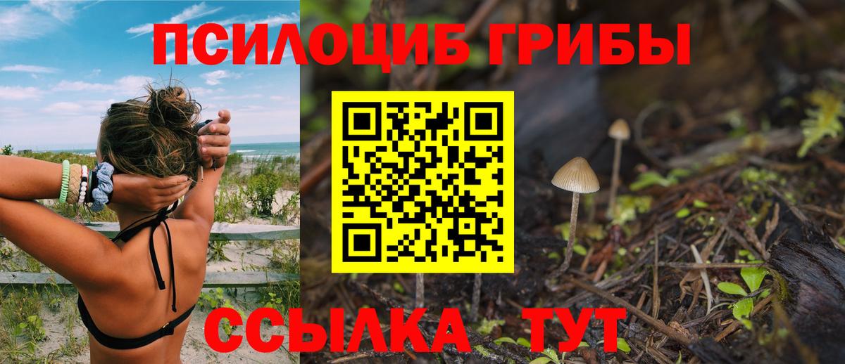 Псилоцибиновые грибы мицелий Лосино-Петровский